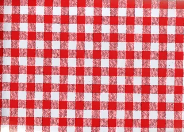 picnic blanket